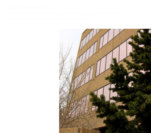 TENANT REPRESENTATION - A thorough research of available space to fit the clientís needs. Negotiation on the tenantís behalf.